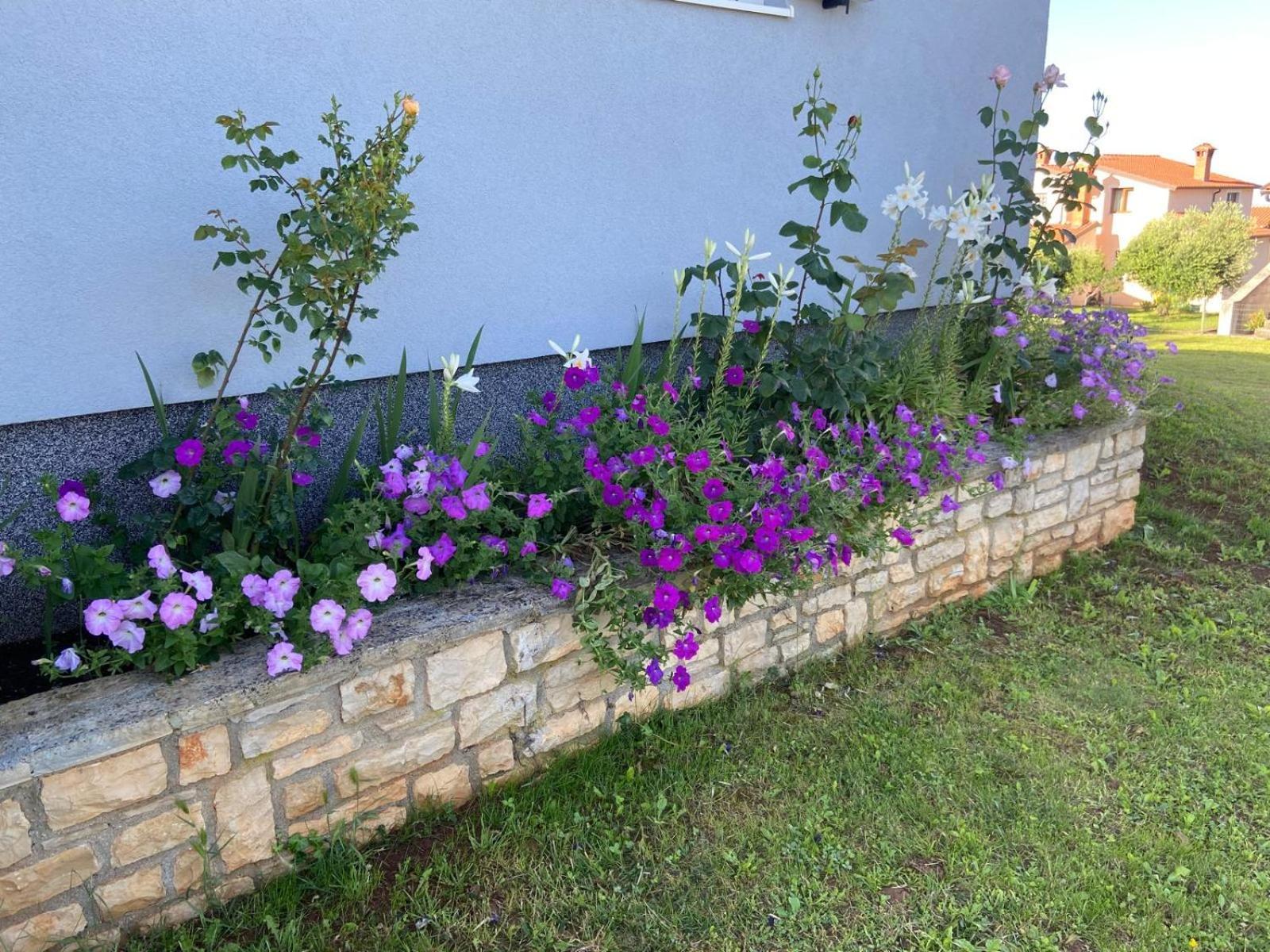 Holiday Home Mihaela Višnjan Εξωτερικό φωτογραφία