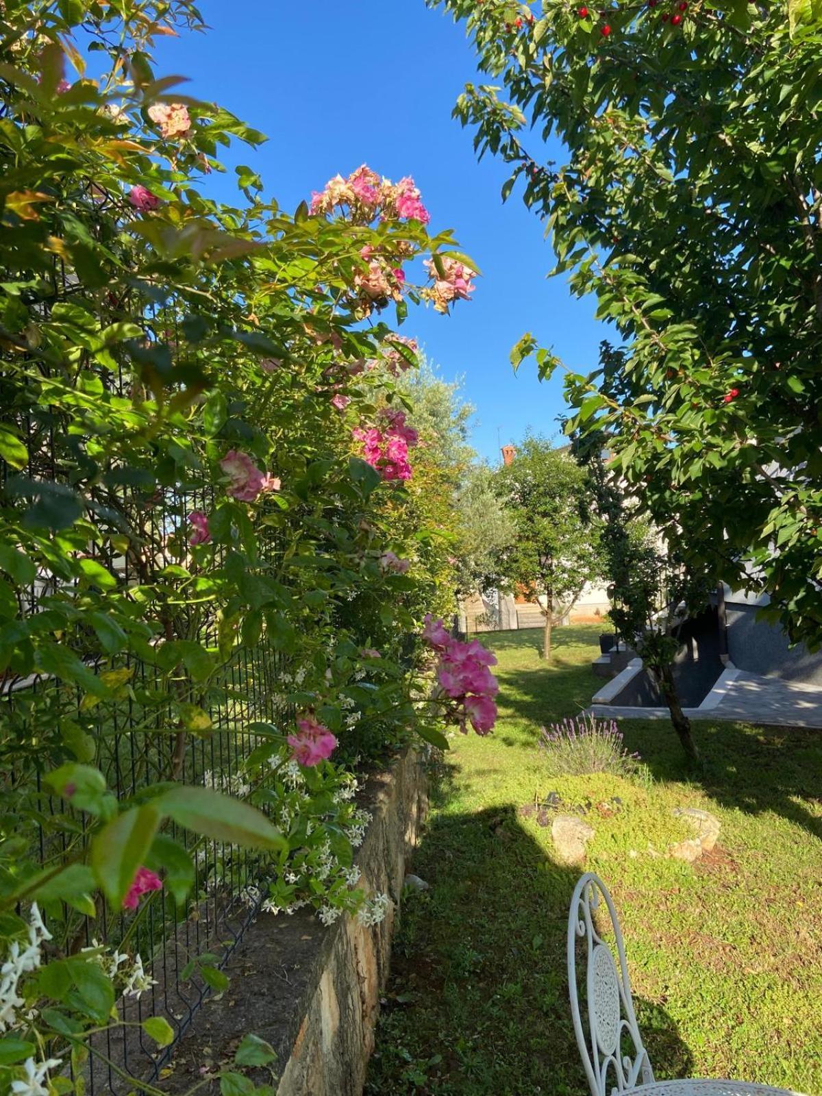 Holiday Home Mihaela Višnjan Εξωτερικό φωτογραφία