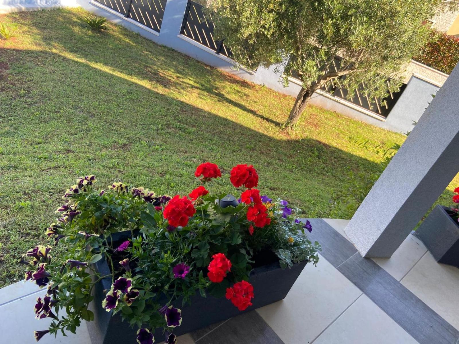 Holiday Home Mihaela Višnjan Εξωτερικό φωτογραφία